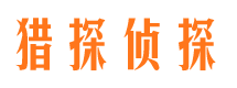 磐石侦探